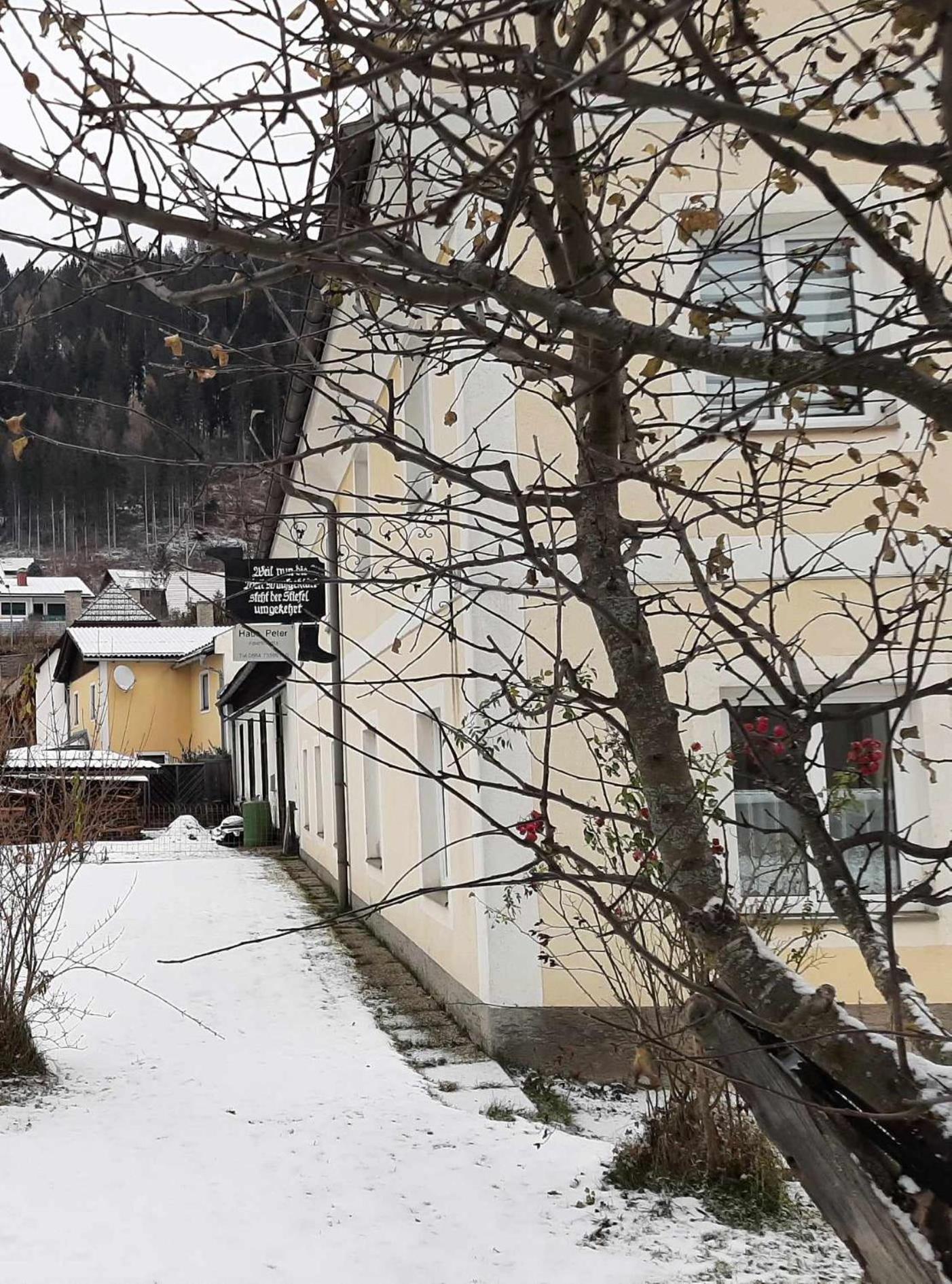 Haus Peter Apartment Murau Luaran gambar